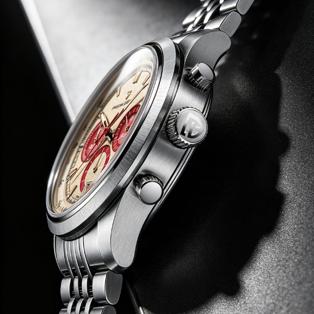 Anti-Magnetic Watch - PAGANI TASARIM Yeni Erkek Izle Lüks