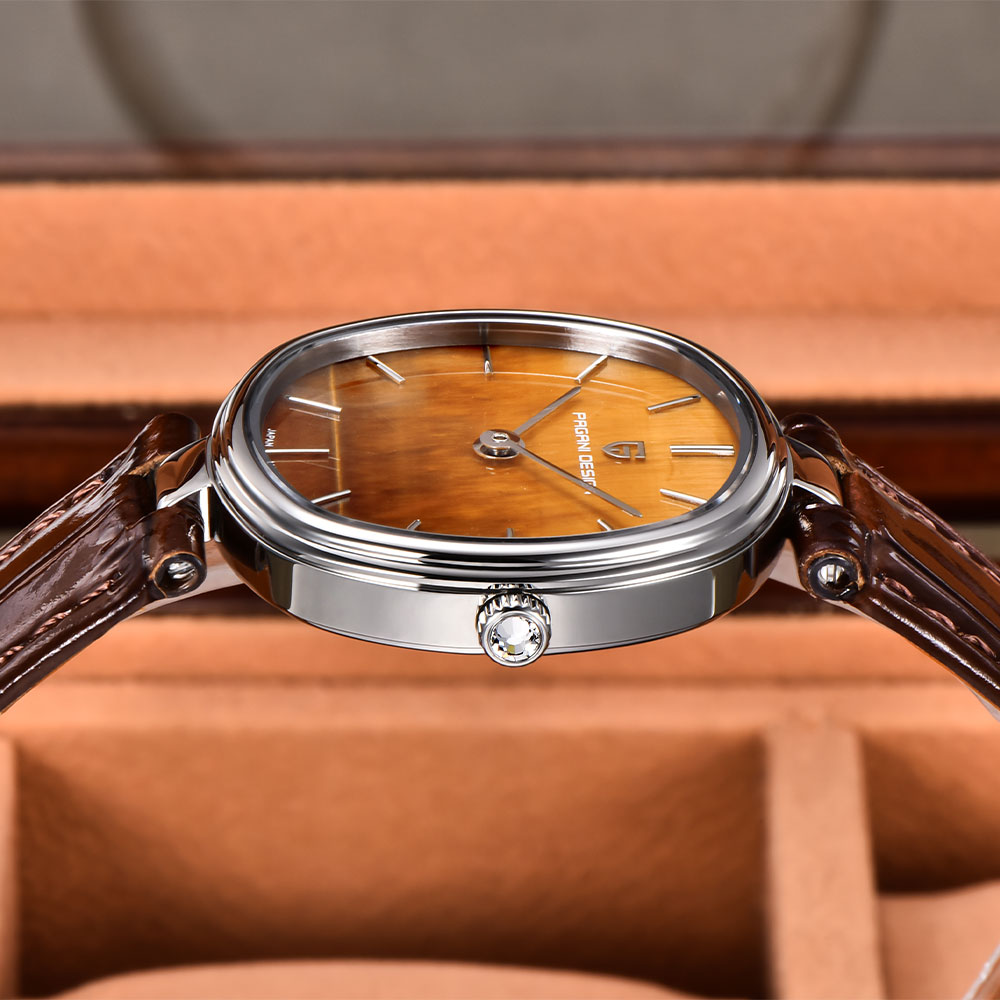 PAGANI TASARIM 2026 Yeni Kuvar - Anti-Magnetic Watch incelemesi ve fiyatı